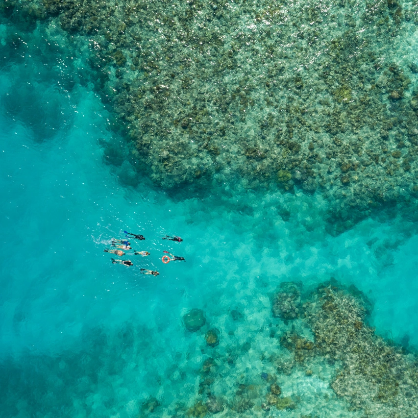 Tropical North Queensland